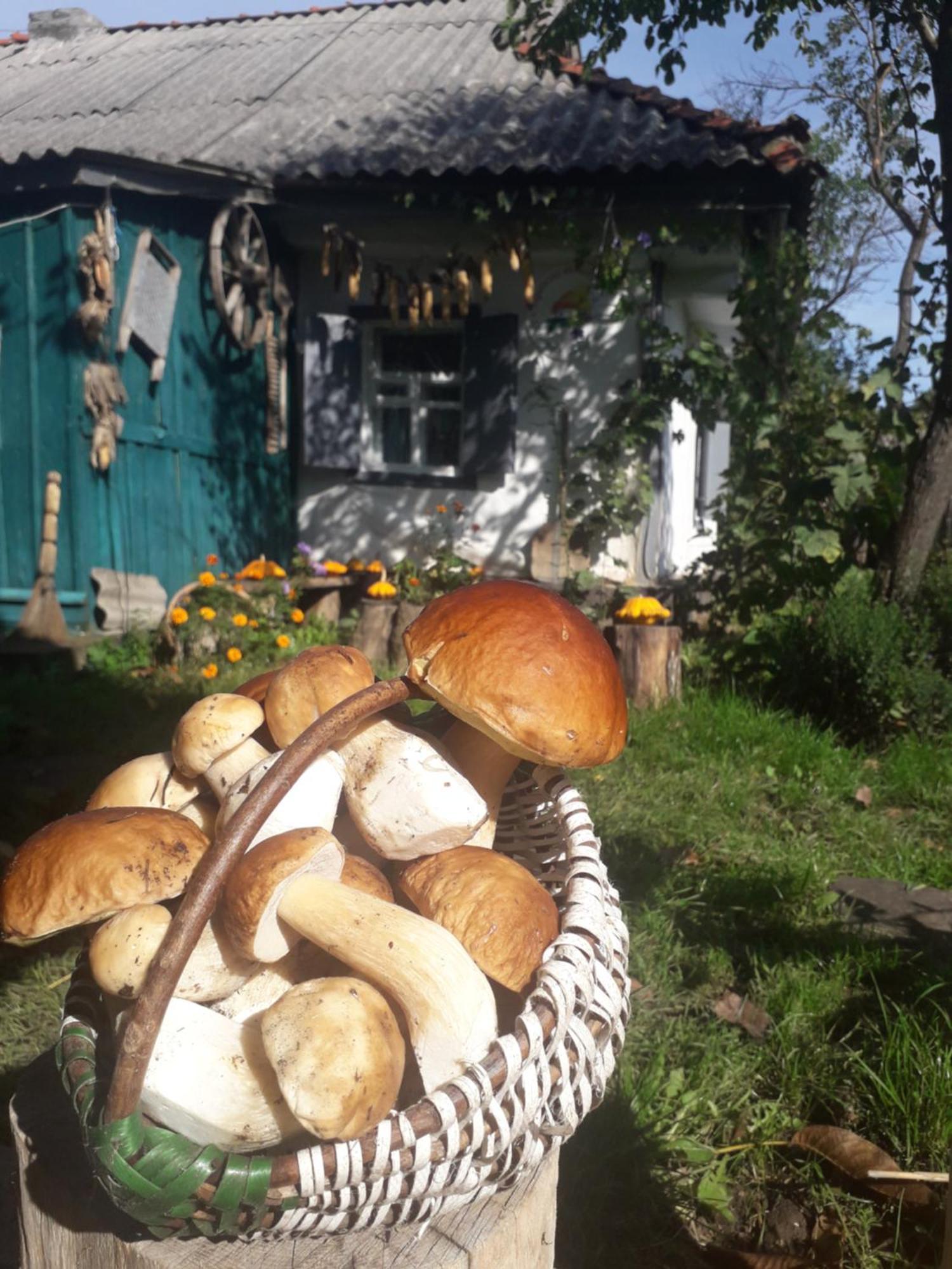 Медова Садиба Subbotiv Habitación foto